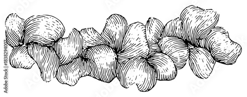 Hand drawn braided challah bread loaf sketch in vintage engraving style with cross hatching details