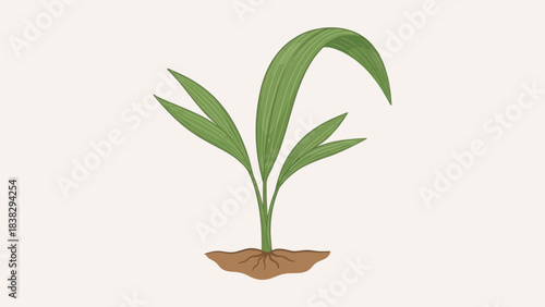 Young green plant growing from soil, minimalist nature illustration, sprouting leaves icon, early growth symbol, environmental and agricultural vector design, clean botanical graphic, isolated 