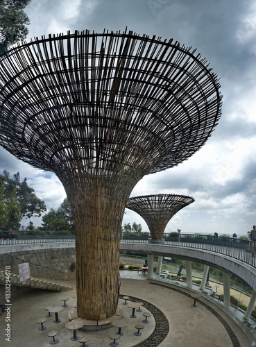 Ethiopia. The unusual architecture of giant mushroom-shaped structures in the capital's Entoto Park in the north of Addis Ababa.