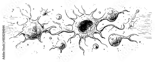 Biological cells or neurons under microscope Hand drawn ink sketch vector illustration of virus and bacteria
