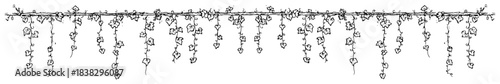 Hanging ivy vines border or decorative divider with leaves Hand drawn ink sketch vector illustration of foliage
