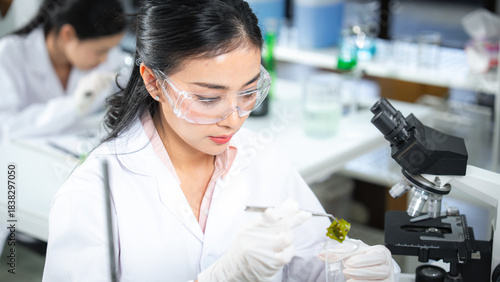 A female scientist examines a piece of green algae for biotechnology research, preparing a sample beside a microscope in a bright modern laboratory focused on biochemistry and natural formulations.
