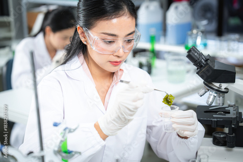 A female scientist examines a piece of green algae for biotechnology research, preparing a sample beside a microscope in a bright modern laboratory focused on biochemistry and natural formulations.