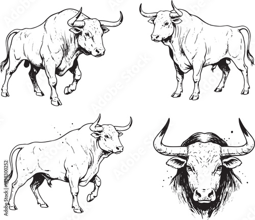 Powerful Bull Collection: Hand-Drawn Vector Set of Oxen in Charging and Standing Poses