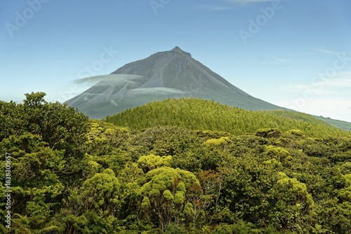 Forested mountain with the volcanic cone Pico under clear sky, Madalena, Pico, Azores, Portugal