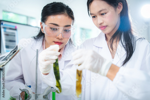 Two scientists closely examine algae samples in test tubes inside a modern laboratory, conducting biological research focused on sustainability, plant science, and environmental biotechnology.