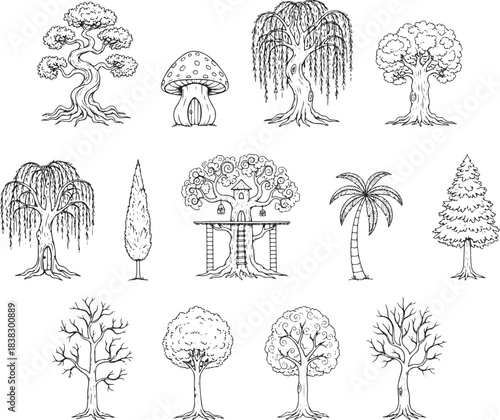 Comprehensive Black and White Line Art Set of Various Tree Species