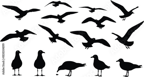 Massive Vector Silhouette Collection: Featuring Dynamic Baseball Players, Various Bulls, Cows, and Calves, alongside Seagulls in Flying and Standing Poses for Diverse Design Projects.