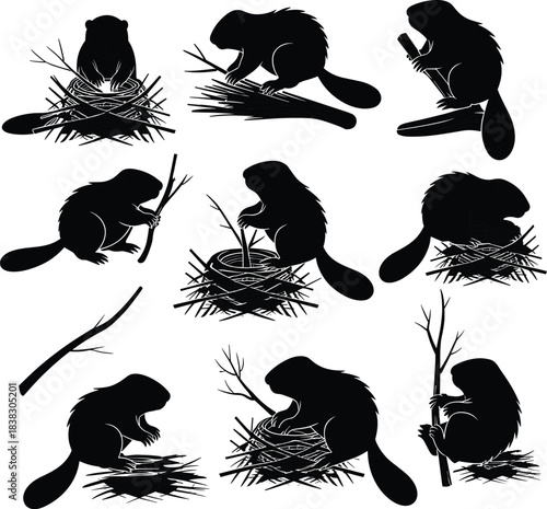 Beaver silhouette vector set with stick nests, black isolated animal poses, nature builder concept, wildlife behavior illustration
