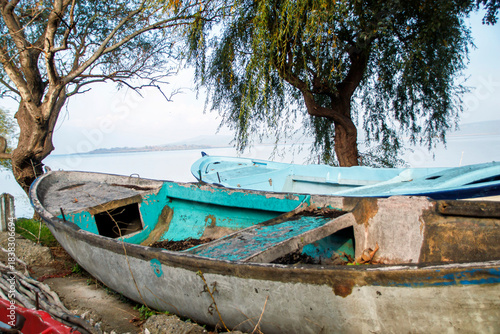 Fototapeta Naklejka Na Ścianę i Meble -  old fishing boats under tree branches on the beach