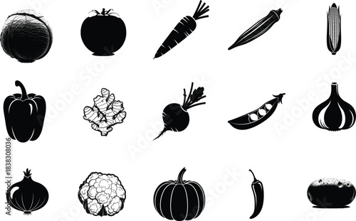 Hand drawn vegetable collection isolated on white background