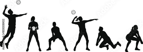 Silhouettes of diverse male and female volleyball players demonstrating various dynamic actions like spiking, serving, passing, and digging in a professional sports game or practice on a white backgr