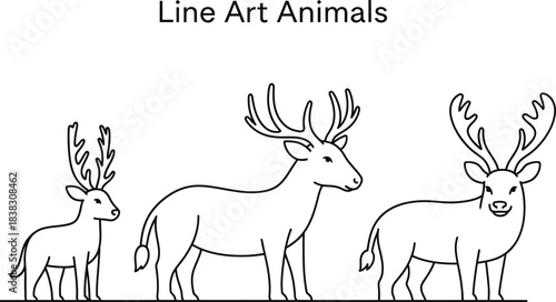 Animals outline set vector illustration. Line Art hand drawn woodland simple collection Outlined Animals Majestic Lion Elephant Giraffe deer cow etc.