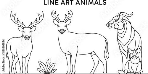 Animals outline set vector illustration. Line Art hand drawn woodland simple collection Outlined Animals Majestic Lion Elephant Giraffe deer cow etc.