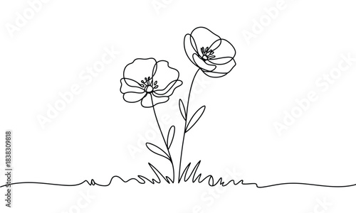 Elegant single line art of beautiful flowers blossoming on a white background