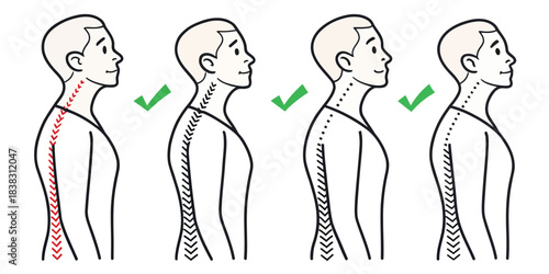 Progression of good posture from bad to correct back