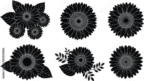 Cute Cartoon Flying Bee Character Vector Set with Detailed Coloring and Black Outline Version