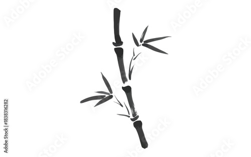 A minimalist chinese ink wash drawing captures the elegance of a bamboo stalk