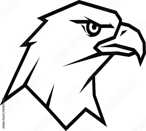 eagle head vector illustration
