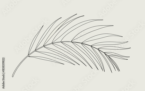 Minimalist line art illustration of a tropical palm leaf with slender fronds