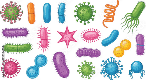 A detailed collection of colorful, microscopic bacteria and viruses in various shapes, including cocci, bacilli, spirilla, and harmful virus cells for science and medicine.