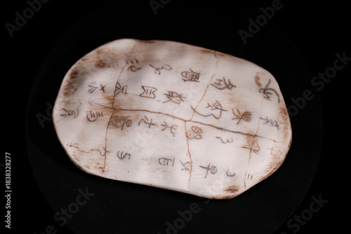 Ancient Oracle Bone with Hieroglyphic Writings from Yinxu Archaeological Site China