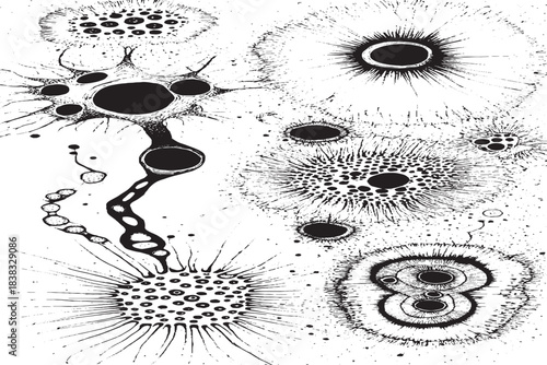 Abstract Black and White Ink Blot or Microbe Colony Art Pattern