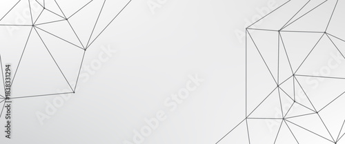 abstract polygonal background and connecting dots and lines. Digital technology with plexus background and space for your text. abstract technology background.