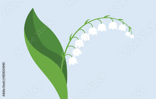 Stylized illustration of lily of the valley flowers and leaves white flowers green leaves