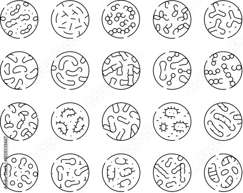 Various bacteria and microorganism line icons on a white background