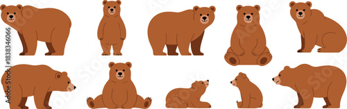 Cute brown bear cartoon illustration set in various poses, standing, sitting, walking, animal vector for kids and wildlife design.