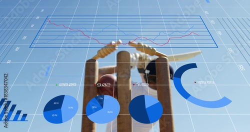 Displaying cricket stumps and bat on outdoor pitch, showing red ball, player in white pads, data