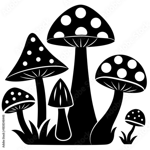 Mushroom and toadstool vector illustration