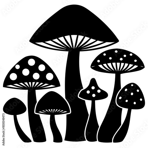 Mushroom and toadstool vector illustration