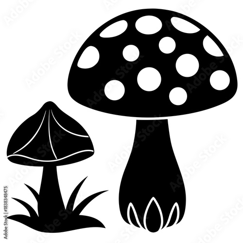 Mushroom and toadstool vector illustration