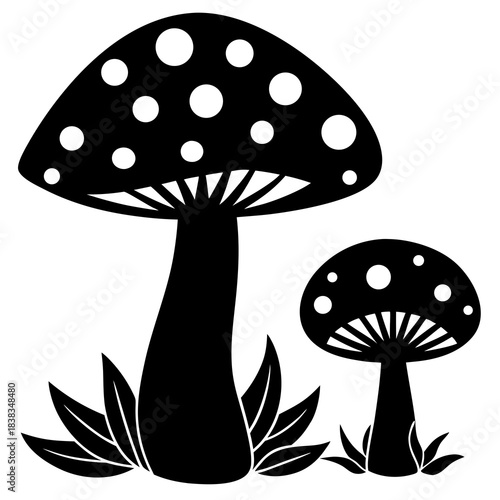 Mushroom and toadstool vector illustration