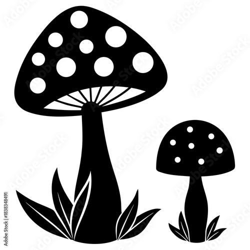 Mushroom and toadstool vector illustration