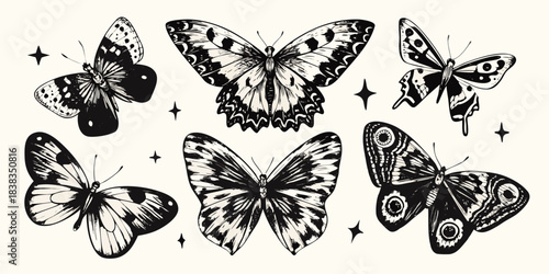 A collection of intricately detailed black and white butterfly illustrations with star accents