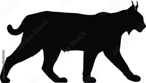 Lynx silhouette walking vector art
