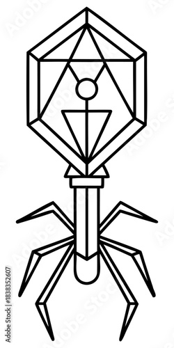 Bacteriophage Virus Vector Line Art: Isolated Scientific Microbiology Diagram & Technical Illustration
