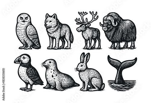 A collection of eight engraved arctic animal illustrations including an owl, wolf, reindeer, muskox, puffin, seal, rabbit, and whale tail — stock illustration.