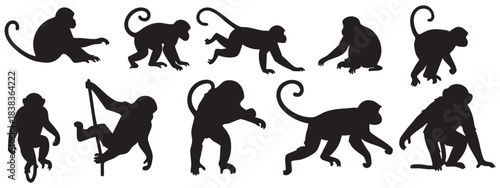 Monkey silhouette collection