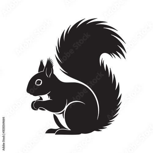 Squirrel eating a nut