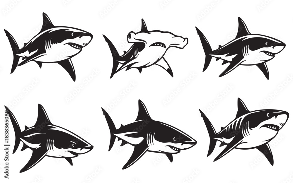 Fototapeta premium Various shark illustrations