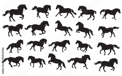 Collection of horse silhouettes in motion