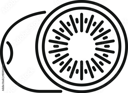 Representing a whole kiwi and a healthy fruit slice with clean lines