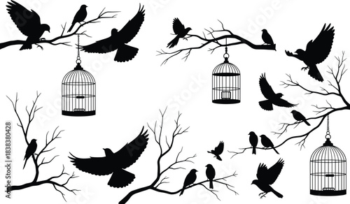 Vector Collection Representing Freedom, Nature, Wildlife, Spring, Aviary, and Birdcage Graphics for Design.