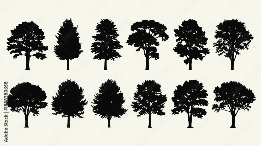 Fototapeta premium Stunning collection of twelve distinct black tree silhouettes perfect for elegant landscape design and nature projects