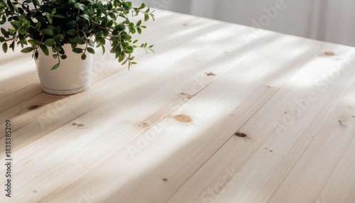 自然光に照らされた木製テーブルと観葉植物 / Sunlit wooden table with potted plant
