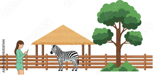 A cheerful vector scene of a zebra standing in a fenced zoo or wildlife sanctuary enclosure with a large tree, a thatched hut, and a female visitor looking at her phone.